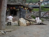 habakuky_2013-102