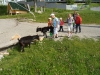 habakuky_2013-7