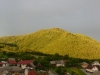 Nevoľné