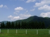 Nevoľné