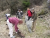 phoca_thumb_l_brigada_13